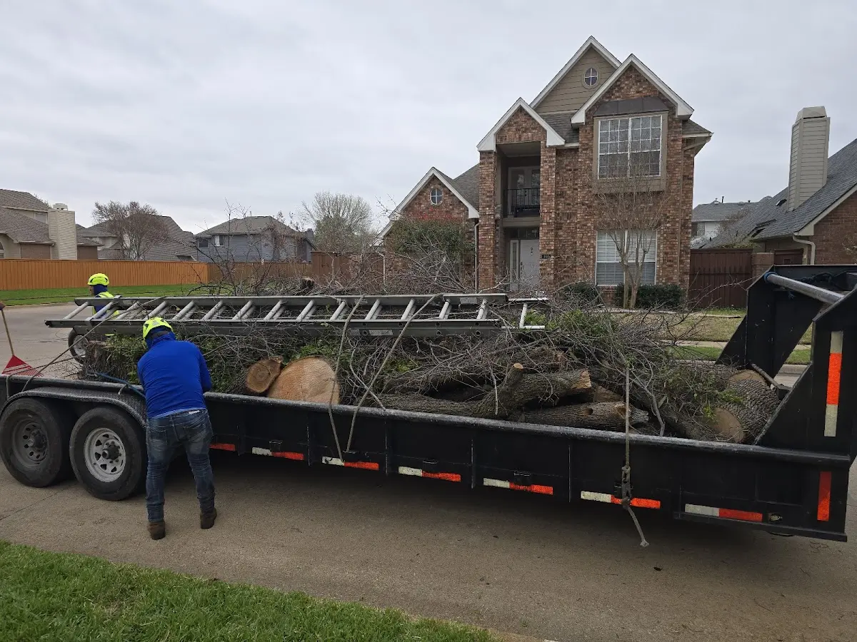 Expert Tree Pest Control with proper safety equipment in Rockville
